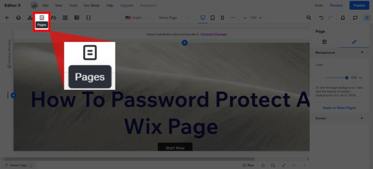 How to Password Protect a Wix Page (2026 Guide) | Wiksit