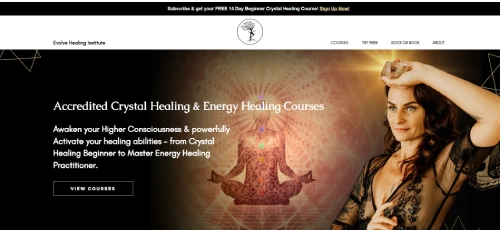 Best Wix Website Examples - Evolve Healing Institute website is a good example of a Wix website for consultants